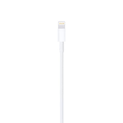 Apple Lightning to USB Cable (1 m)